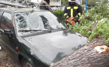 Tűzoltó beavatkozások - 2016.04.24. (vasárnap) 