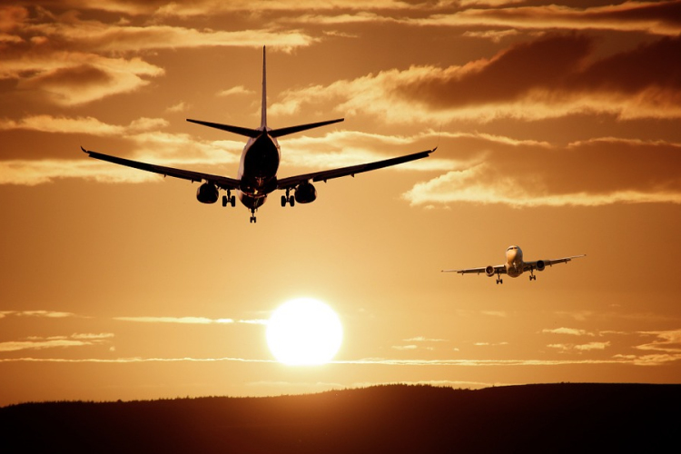 Vaddisznó miatt késett egy Prágából induló repülőgép